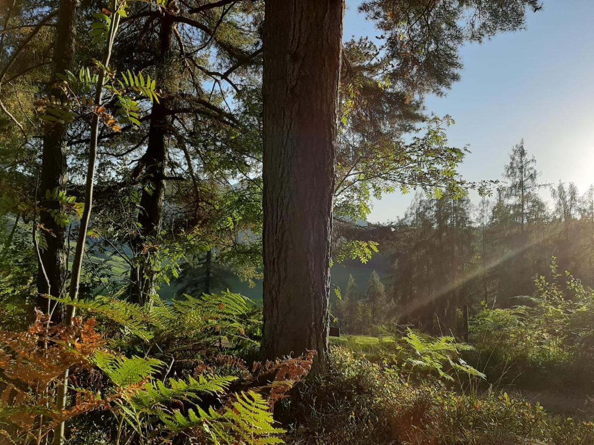 Bio-Bauernhof Hatzbauer Maria Alm am Steinernen Meer Luaran gambar