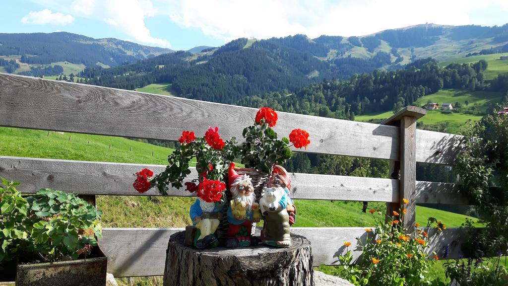 Bio-Bauernhof Hatzbauer Maria Alm am Steinernen Meer Luaran gambar