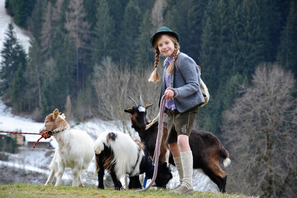 Bio-Bauernhof Hatzbauer Maria Alm am Steinernen Meer Luaran gambar