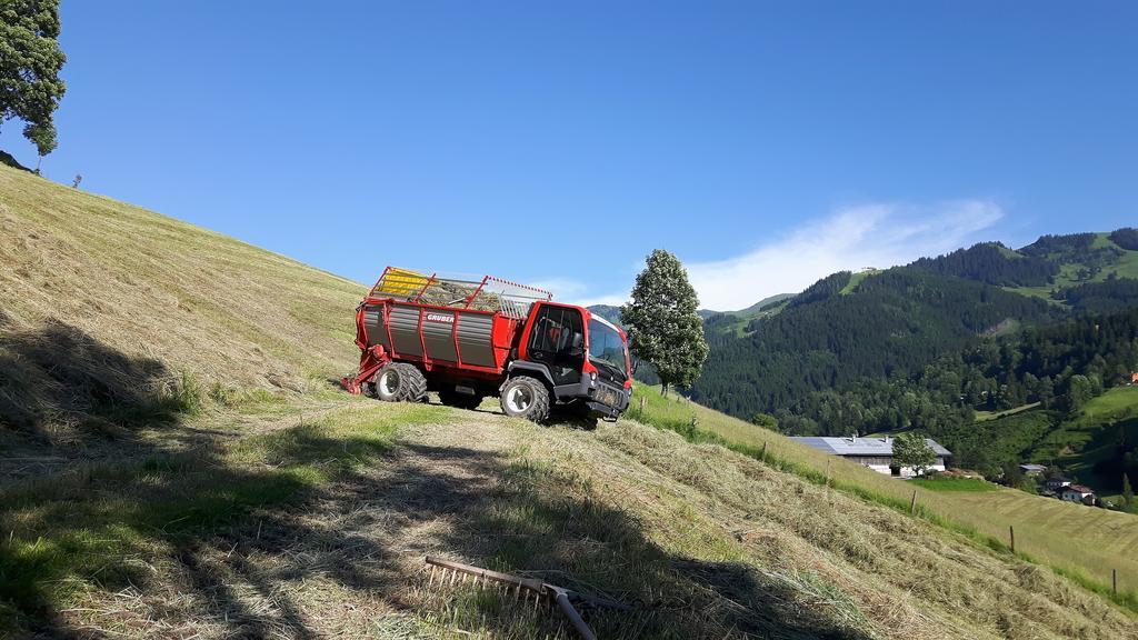 Bio-Bauernhof Hatzbauer Maria Alm am Steinernen Meer Luaran gambar