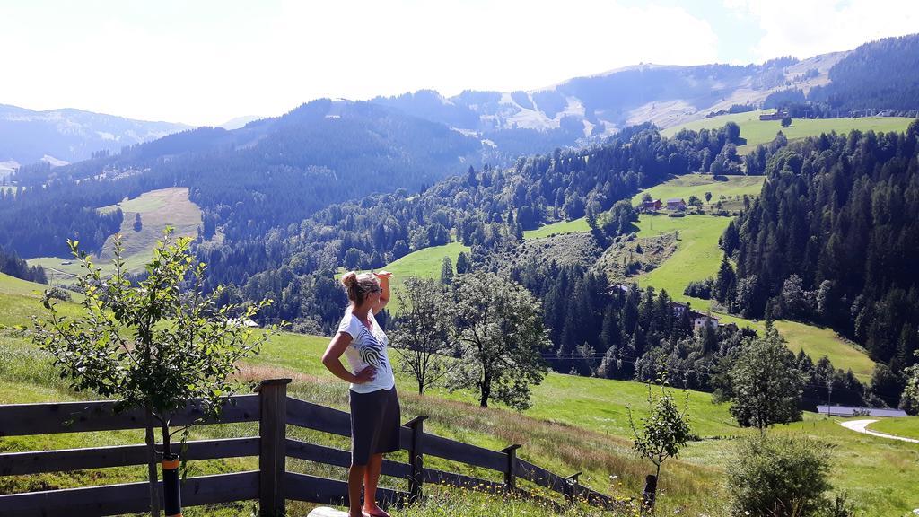 Bio-Bauernhof Hatzbauer Maria Alm am Steinernen Meer Luaran gambar